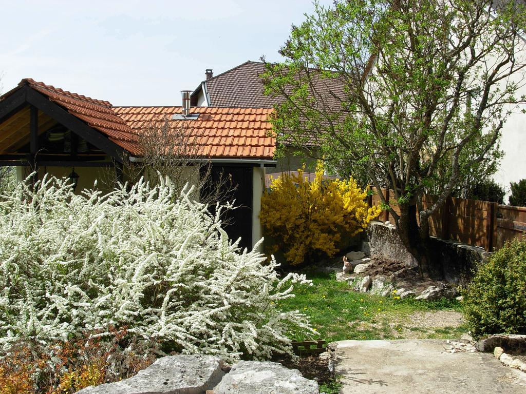 Chambres D'Hotes "Les Chiens Verts", Jardin, Terrasse, Parking Prive Отвиль-Лонес Экстерьер фото